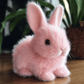 🐇 ארנב - צעצוע הארנב הריאליסטי שלי